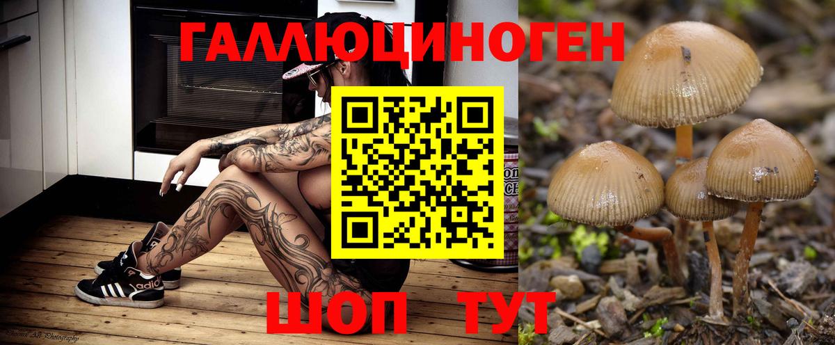 Галлюциногенные грибы MAGIC MUSHROOMS Зима