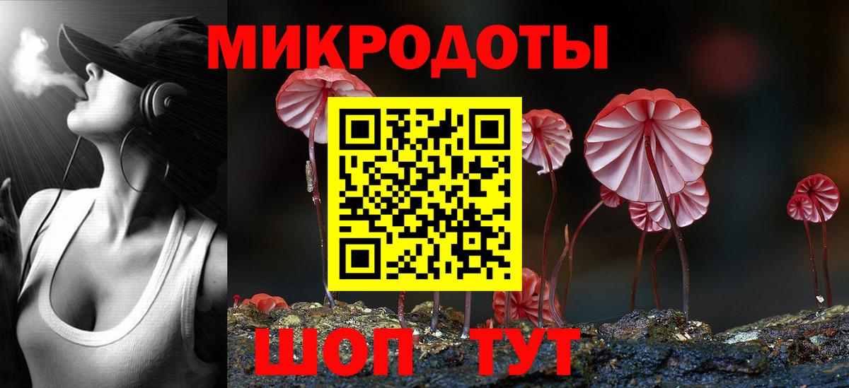 Галлюциногенные грибы Psilocybe  Вход с VPN  Зима 